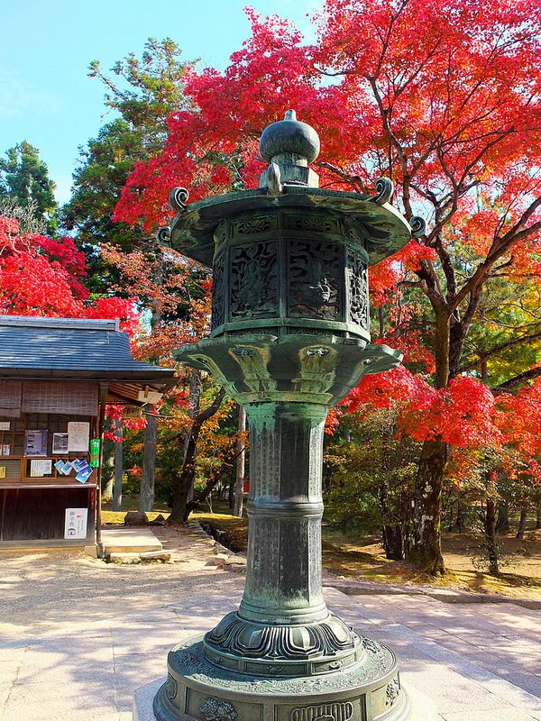 京都仁和寺賞楓