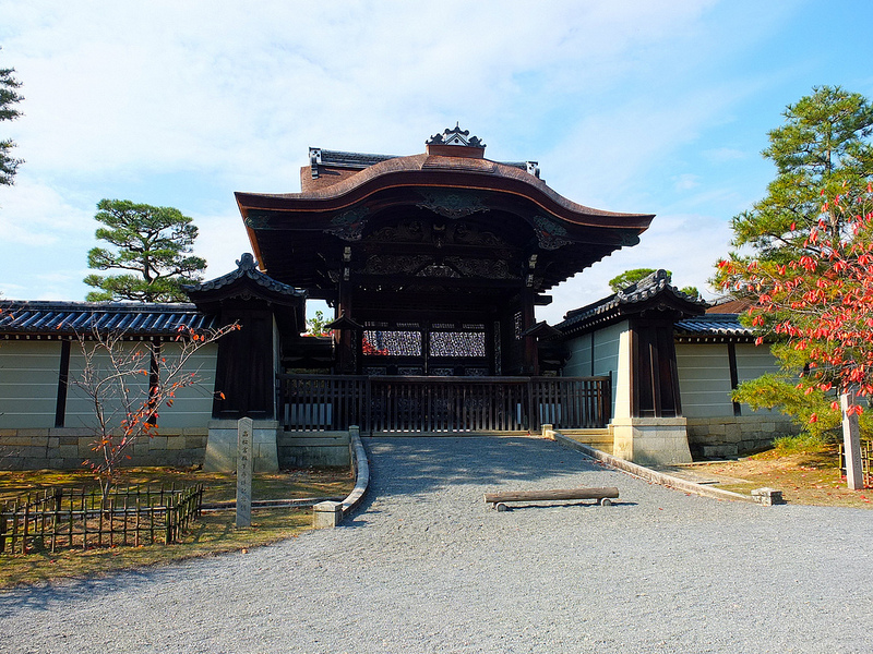 京都仁和寺賞楓