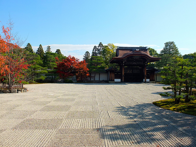 京都仁和寺賞楓