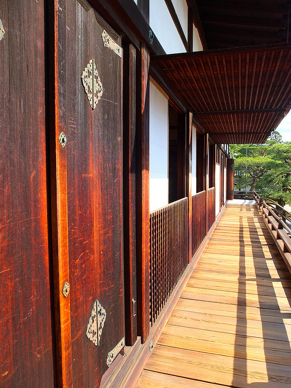 京都仁和寺賞楓