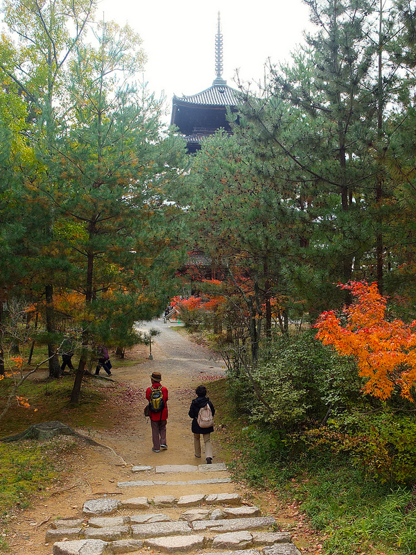 京都仁和寺賞楓