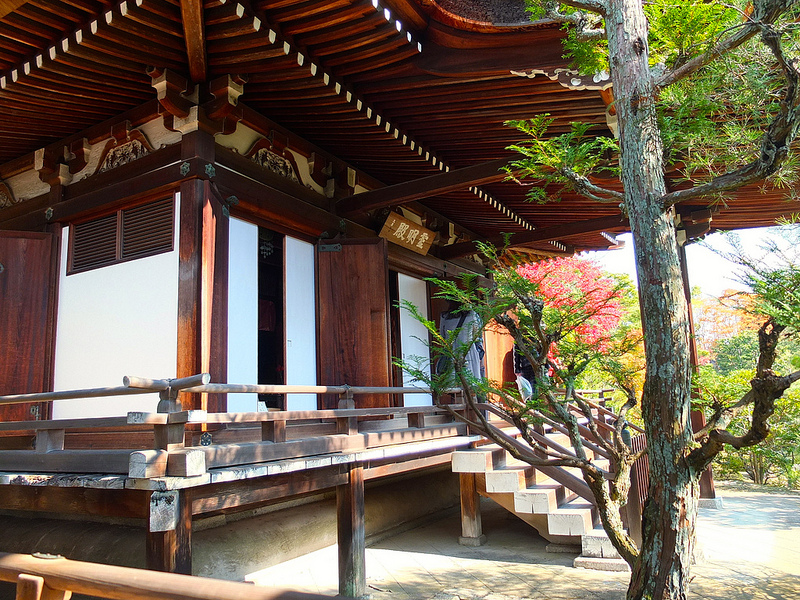 京都仁和寺賞楓