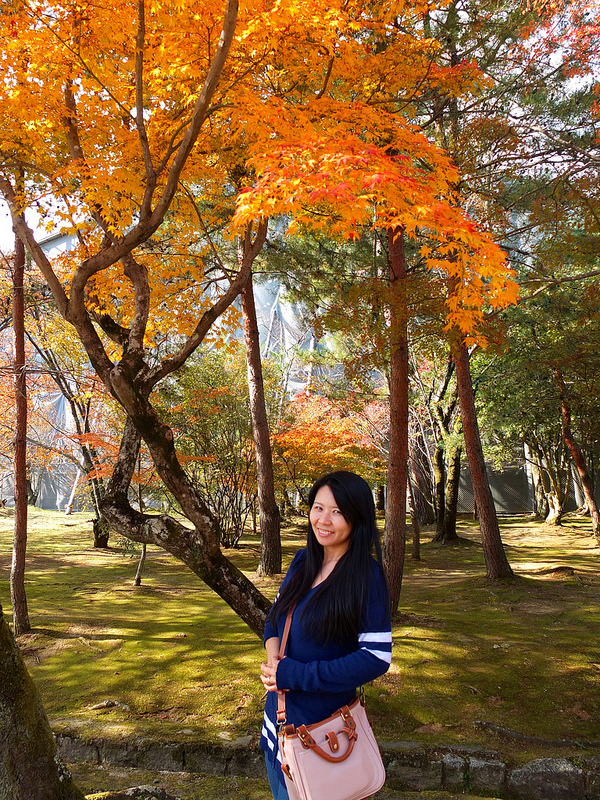 京都仁和寺賞楓