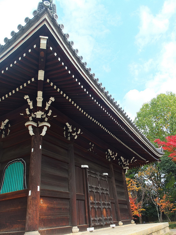 京都仁和寺賞楓