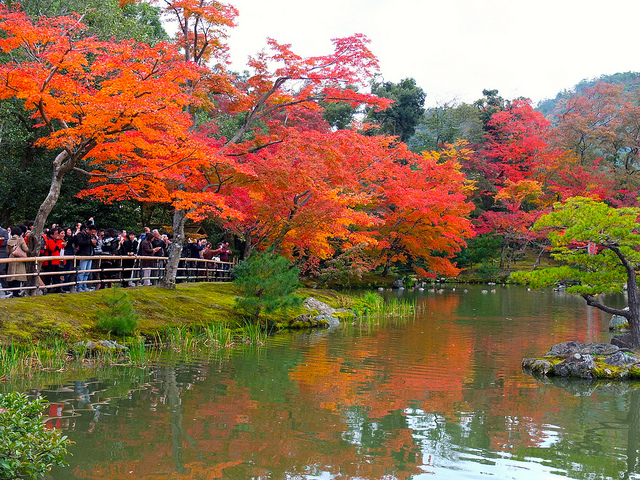 京都金閣寺