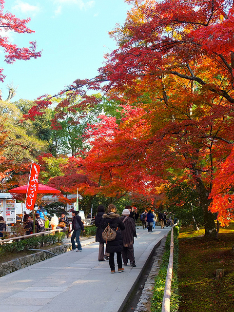 京都金閣寺