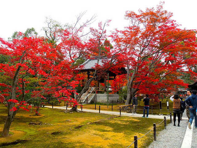京都金閣寺