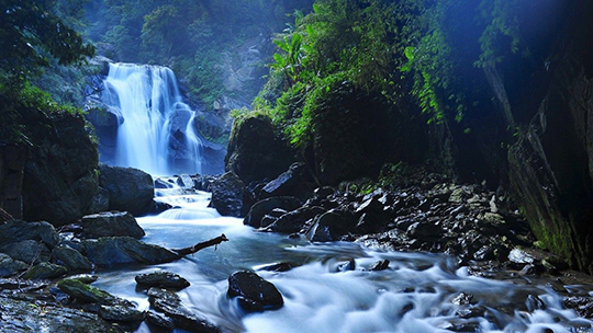 beautyful-forest-beautiful-taiwan-waterfalls-other-free-198064