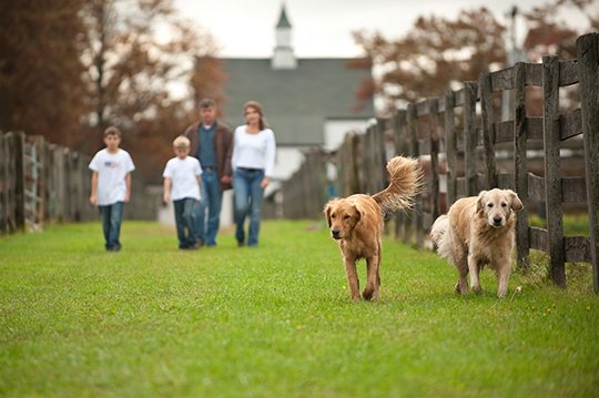 commercial-lifestyle-01