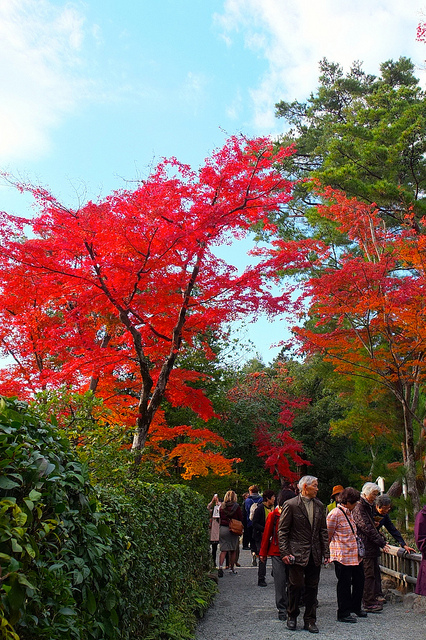 京都金閣寺