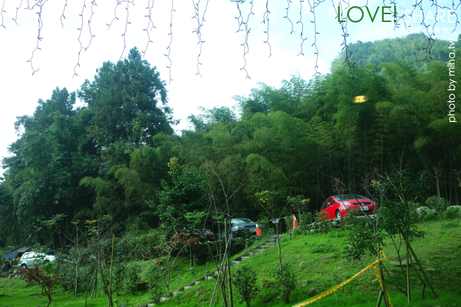 溪頭住宿 夏緹飯店