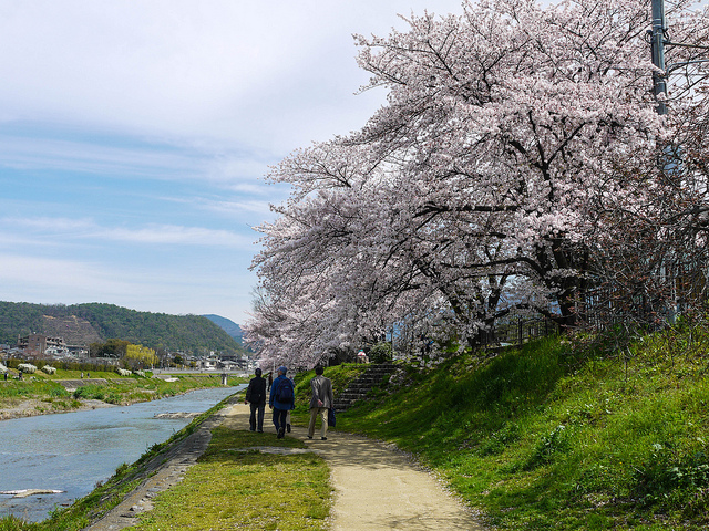 2012關西D2-1260397