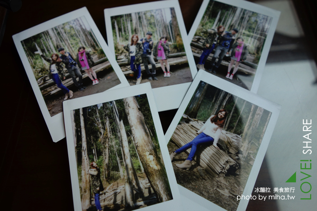 溪頭住宿 夏緹飯店