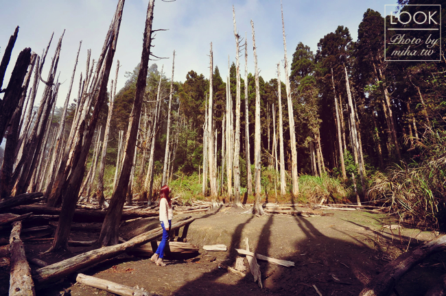 穿搭 ▌終於完成到忘憂森林的夢想＆joyce shop質感超好的衣服和鞋子分享