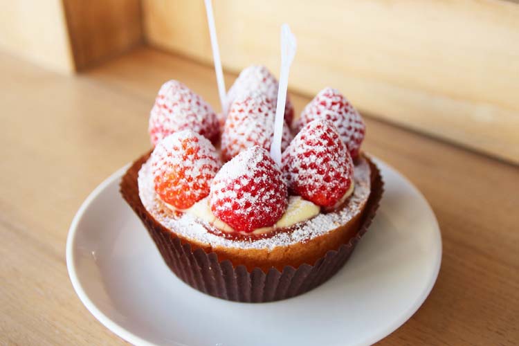 1390134683-1544152536 copy 1390134683-1544152536 copy