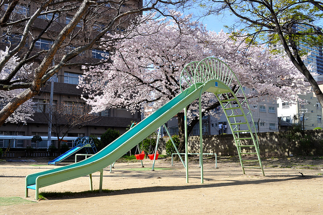 2014大阪賞櫻 自助旅行