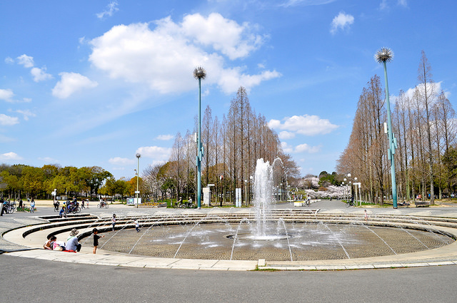 2014大阪賞櫻 自助旅行