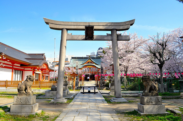 2014京版賞櫻自助旅行