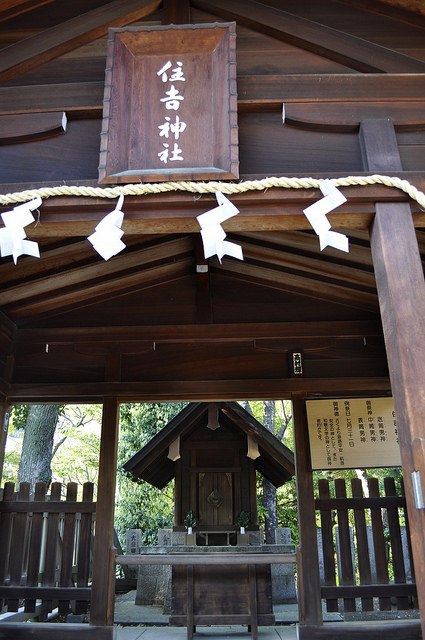 2014大阪賞櫻 自助旅行