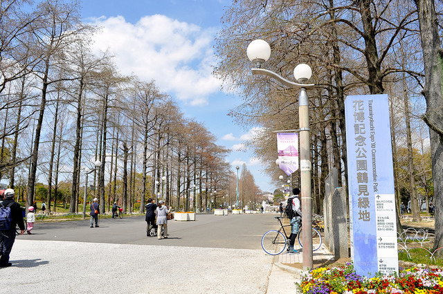 2014大阪賞櫻 自助旅行