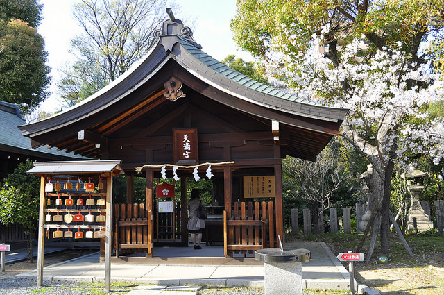 2014大阪賞櫻 自助旅行