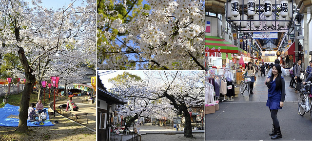2014大阪賞櫻 自助旅行