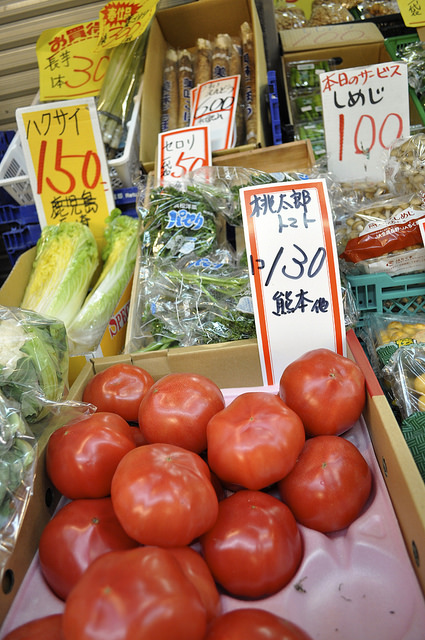 2014大阪賞櫻 自助旅行