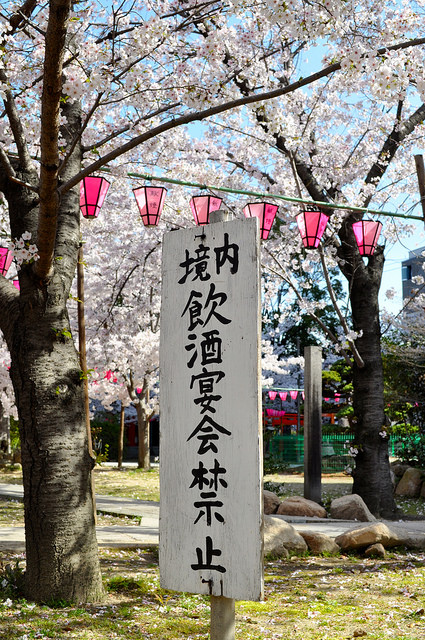 2014大阪賞櫻 自助旅行