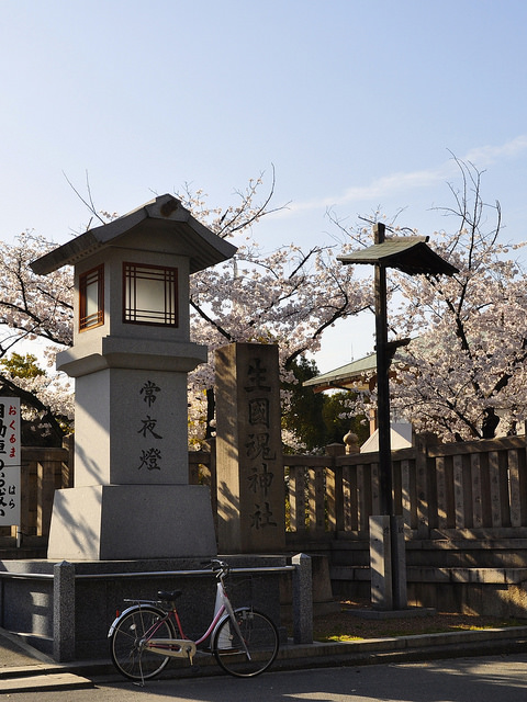 2014大阪賞櫻 自助旅行