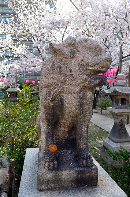 2014大阪賞櫻 自助旅行