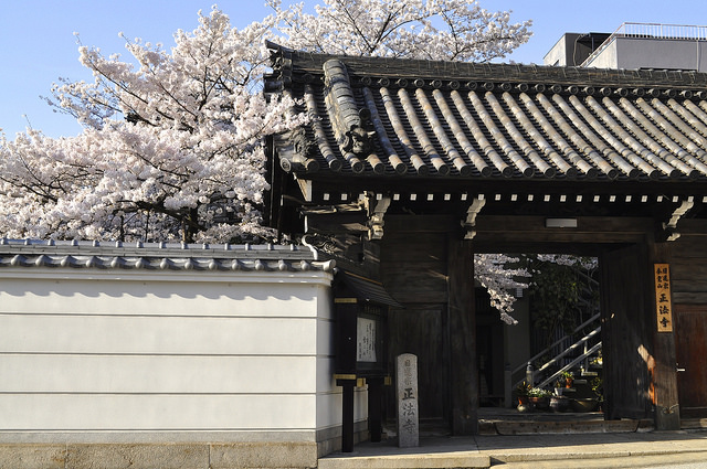 2014大阪賞櫻 自助旅行