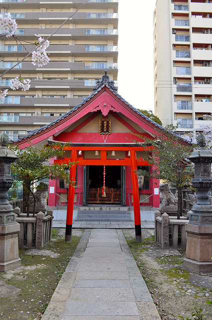 2014大阪賞櫻 自助旅行