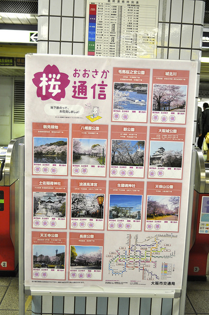 2014大阪賞櫻 自助旅行