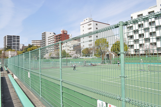 2014大阪賞櫻 自助旅行