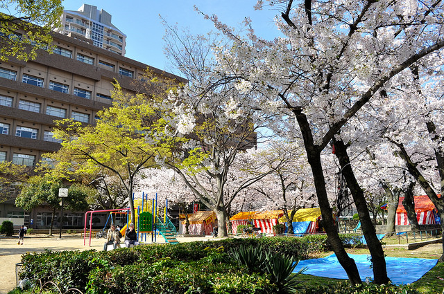 2014大阪賞櫻 自助旅行