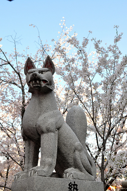 2014大阪賞櫻 自助旅行