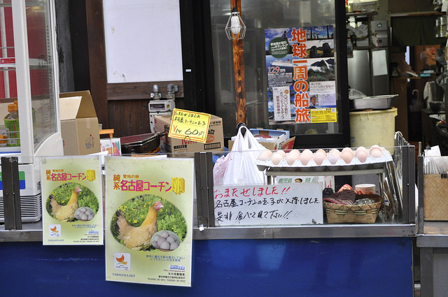 2014大阪賞櫻 自助旅行