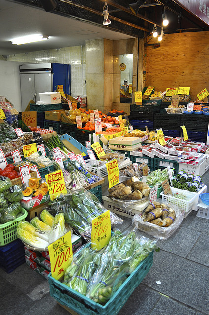 2014大阪賞櫻 自助旅行