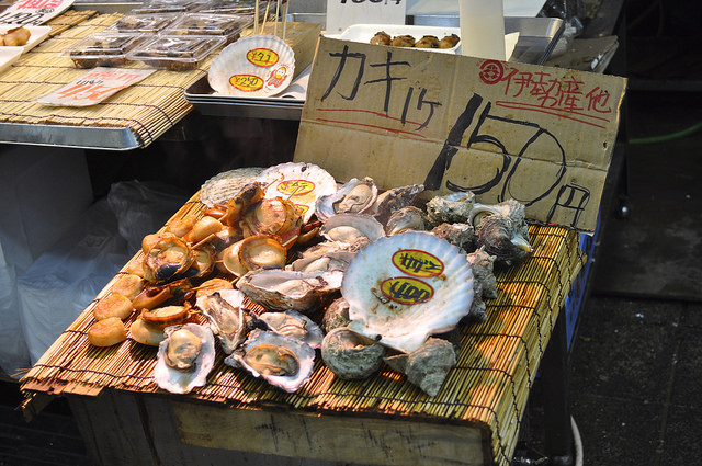 2014大阪賞櫻 自助旅行