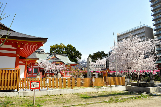 2014大阪賞櫻 自助旅行