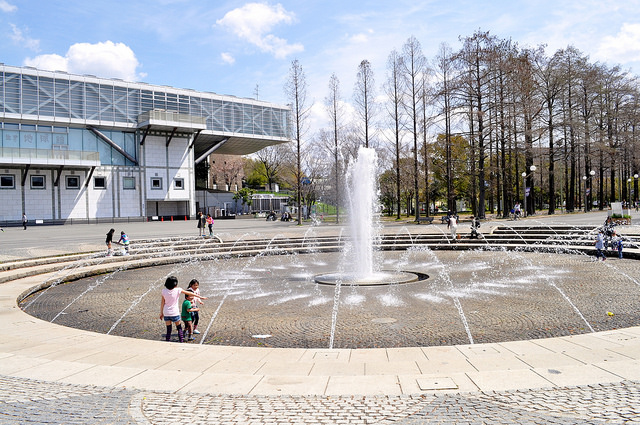 2014大阪賞櫻 自助旅行