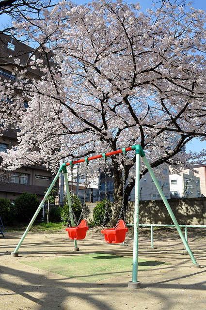 2014大阪賞櫻 自助旅行