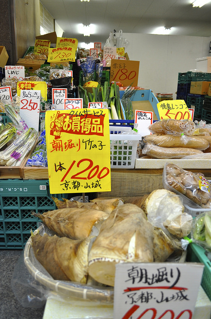 2014大阪賞櫻 自助旅行