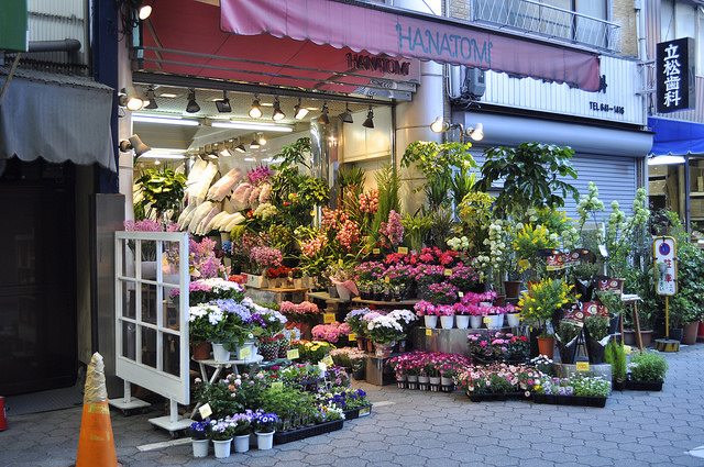 2014大阪賞櫻 自助旅行