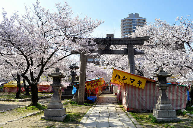 2014大阪賞櫻 自助旅行