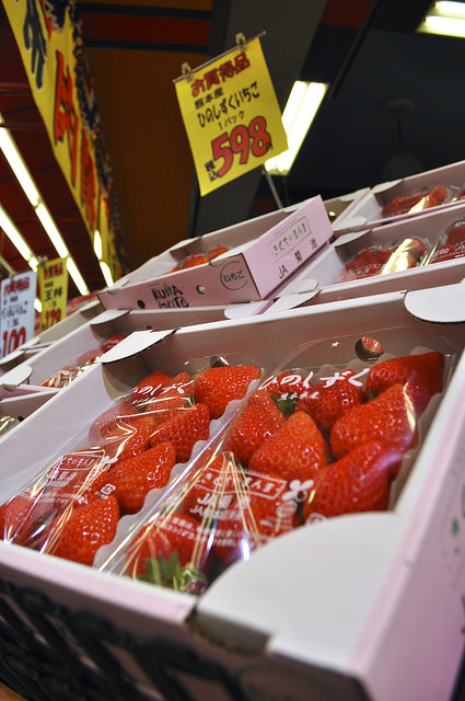 2014大阪賞櫻 自助旅行