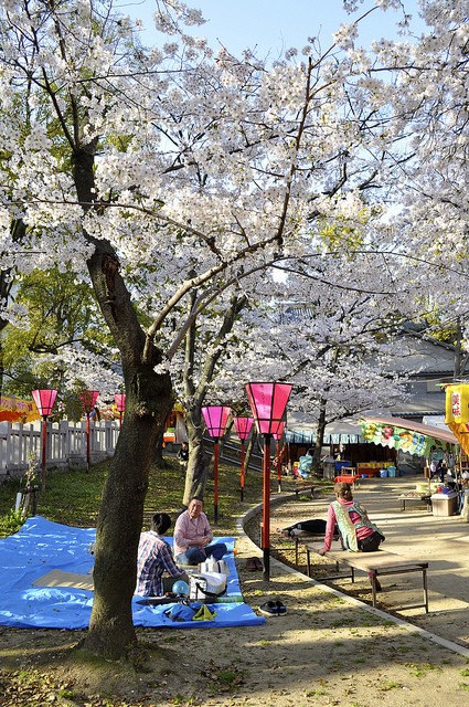 2014大阪賞櫻 自助旅行