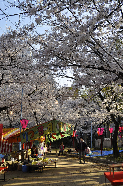2014大阪賞櫻 自助旅行