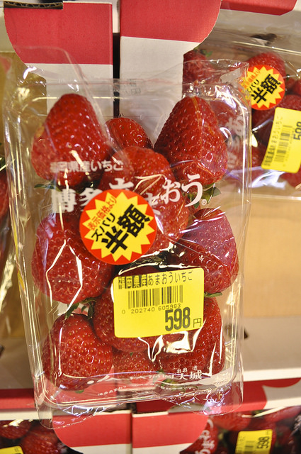 2014大阪賞櫻 自助旅行