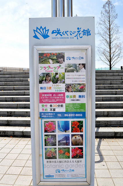 2014大阪賞櫻 自助旅行